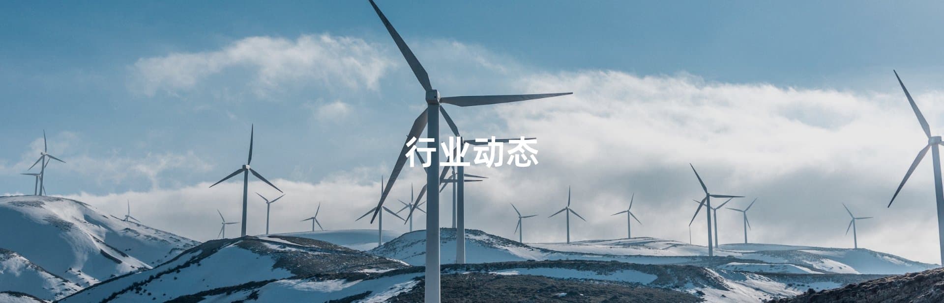 行业动态